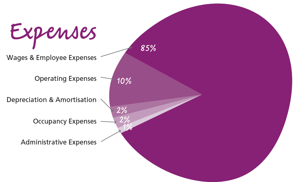 expenses-graph