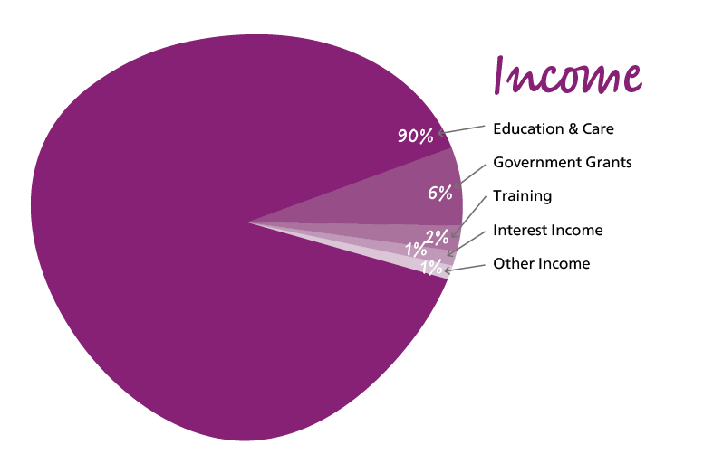 financial-pie-graph-income